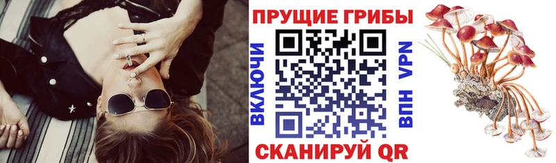 продажа наркотиков  OMG сайт  Псилоцибиновые грибы ЛСД  Среднеколымск 